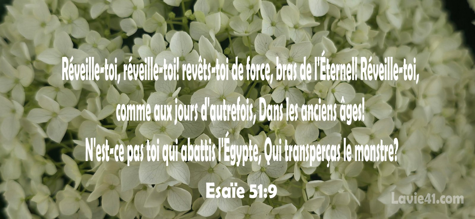 VERSET DU JOUR