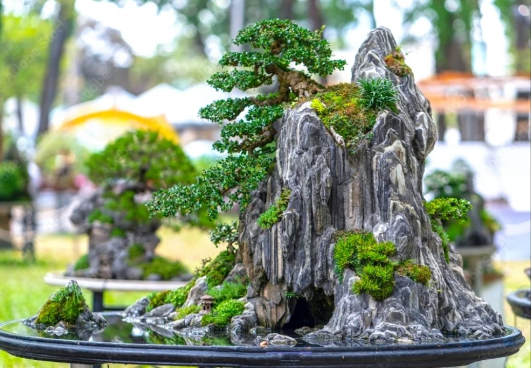 Scènes en Pot : Pourquoi le Penjing Chinois est Bien Plus Qu’un Simple Arbre Miniature